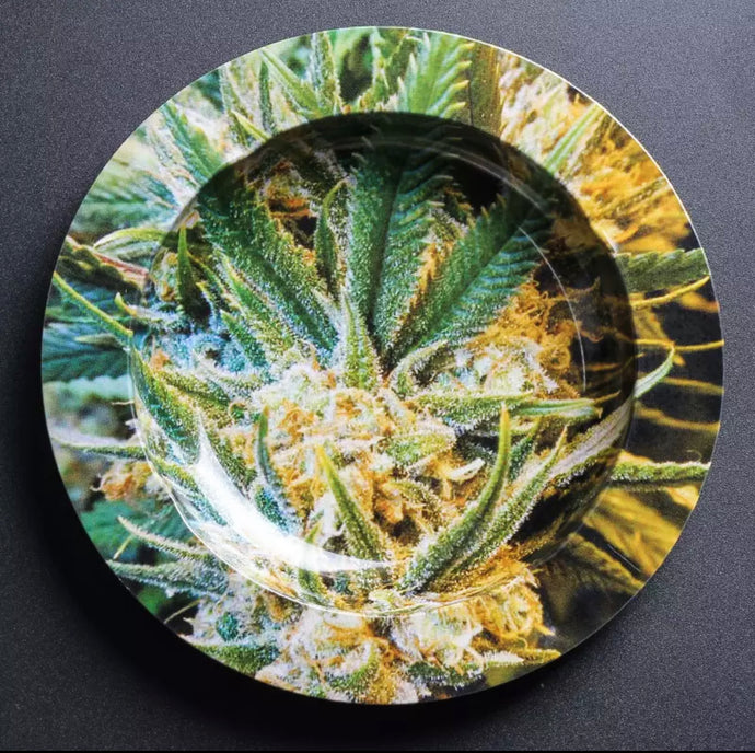 Bud Ashtray