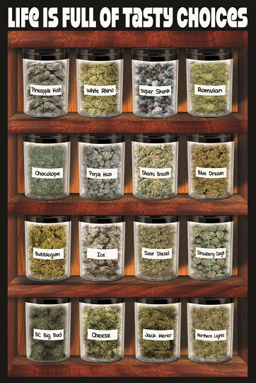 Life Is Full Of Tasty Choices Poster