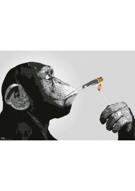 Steez Smoking Poster