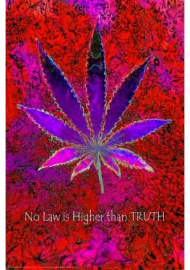 No Law Higher - Cannabis Leaf Poster